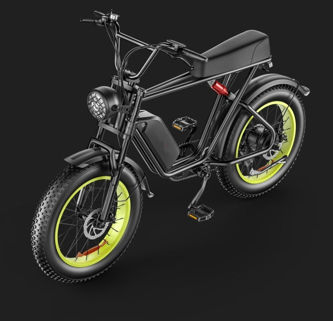 C91 750W 20x4.0" Fat Tire Electric Bike for Adults, 48V 20AH 19.8 mph Ebike, 50-80km 43 mi.